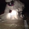 Done Environmental - Asbestos Removal And Mold Remediation 416 629 6779