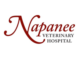 Napanee Veterinary Hospital