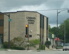 Lombard Animal Clinic PC