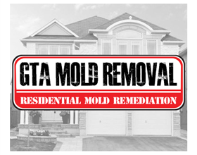 GTA Mold Removal Mississauga