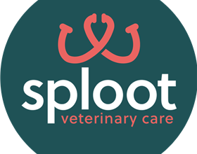 Sploot Veterinary Care - Highlands