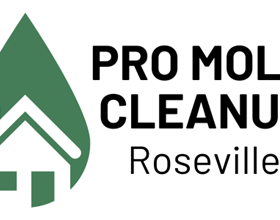 Pro Mold Cleanup Roseville