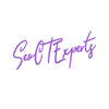 SEO CT Experts
