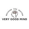 Very Good Mind