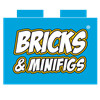 Bricks & Minifigs Kalamazoo