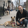 PJH Dog Training