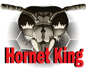 Hornet King LLC