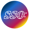 SSO Web Company