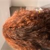 I went for simple hair colour. It was my birthday. Maryam has done it and when she was done, she asked me to dry my hair myself so she can go and quickly clean up after herself so 